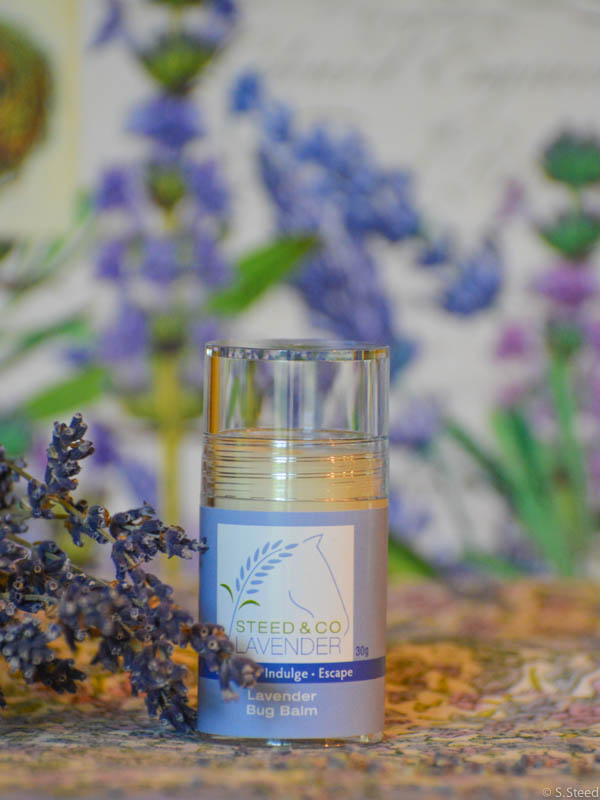 Lavender Bug Balm