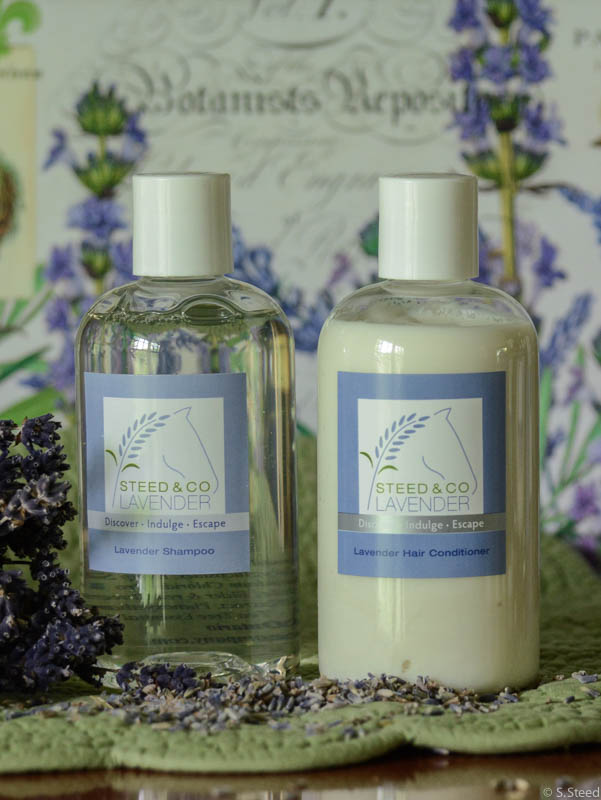 Lavender Shampoo and Conditioner