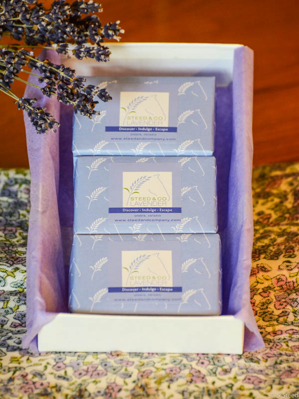 Soap Gift Set
